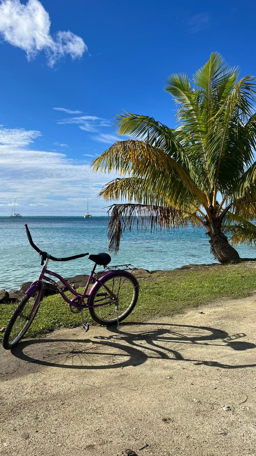 Vélo sous les cocotiers face à la mer à Huahine